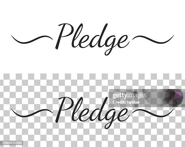 pledge - calligraphy text with swashes on blank background - pledge of allegiance stock illustrations