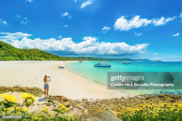 whitehaven beach, queensland, australia. - bay of water stock pictures, royalty-free photos & images