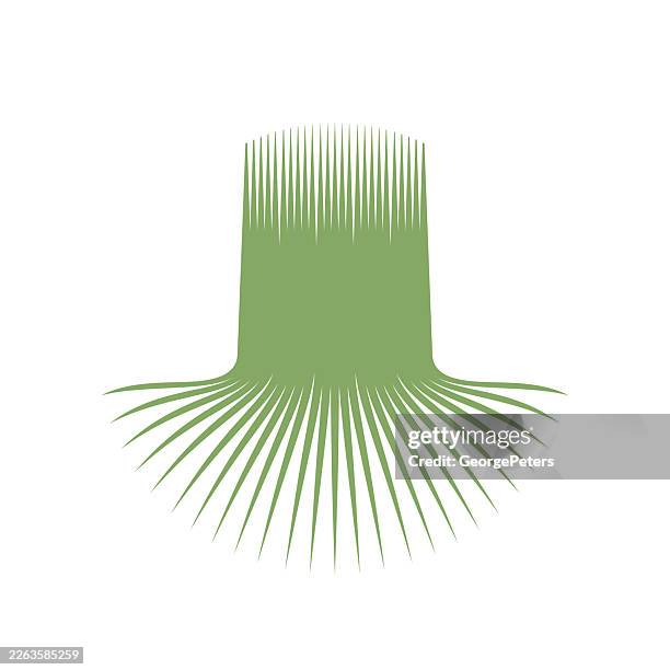 tree roots and tree trunk - deep roots stock illustrations