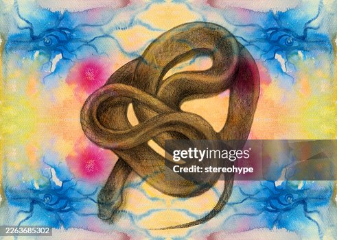 SERPENT RESTING SERPENT RESTING