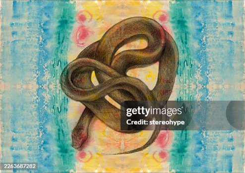 SERPENT RESTING SERPENT RESTING