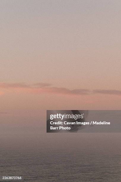 minimal seascape with soft pink sky above calm ocean - seascape stock pictures, royalty-free photos & images