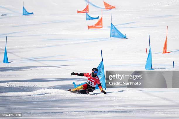 Stefan Baumeister of Germany competes during the FIS Snowboard World Cup, Men's Parallel Giant Slalom, on the Jaworzyna Krynicka slope in...