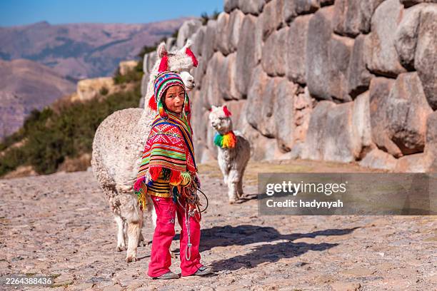 peruvian little boy with an llamas near cuzco - peruvian people stock pictures, royalty-free photos & images