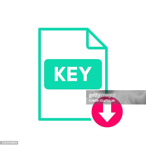 presentation program key extension download file format - web development office stock illustrations