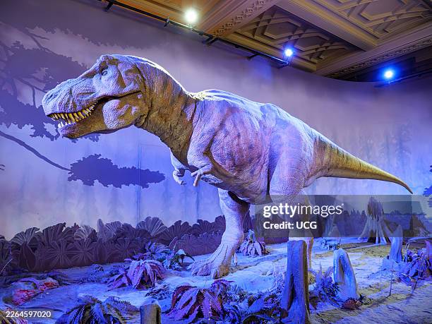 Animatronic model of a Tyrannosaurus rex dinosaur at the Natural History Museum, London, UK.