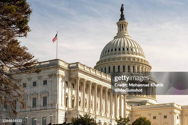 united states capitol - capitol hill stock pictures, royalty-free photos & images
