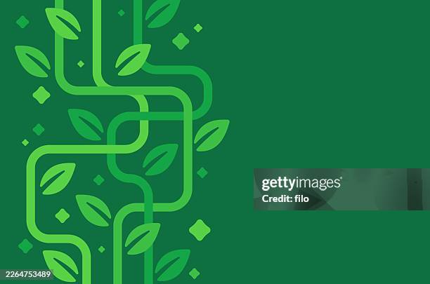 green growth vines spring tropical plants leaves growth edge background - foliate pattern stock illustrations