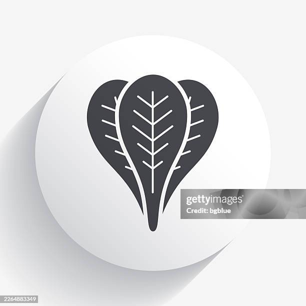 spinach. icon on circle button with long shadow - spinach stock illustrations