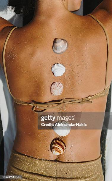 seashells, sand and me - sun tan stock pictures, royalty-free photos & images