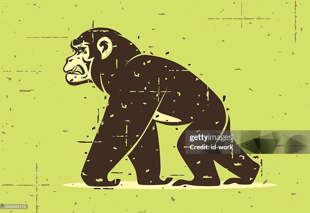Angry chimpanzee walking silhouette