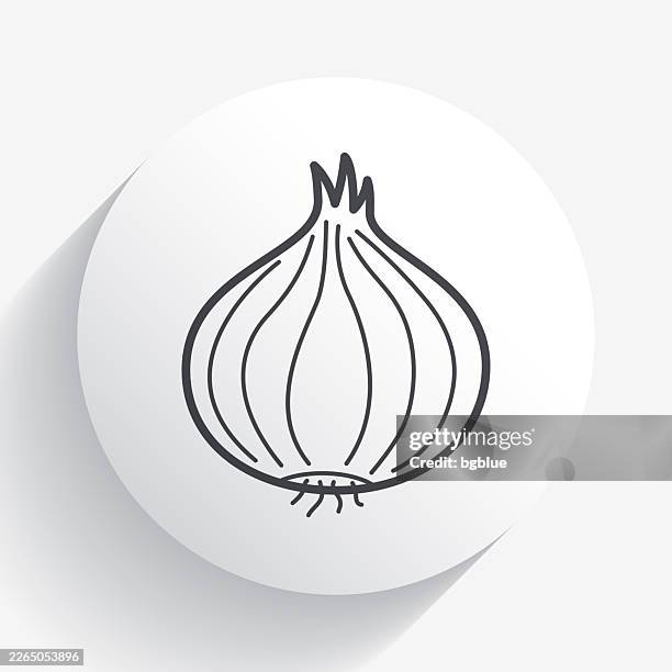 onion. icon on circle button with long shadow - contour lines stock illustrations