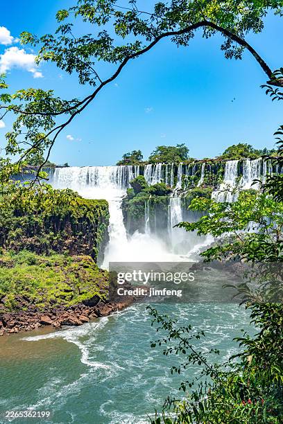 la vista del circuito inferior en el parque nacional iguazú, puerto iguazú, provincia de misiones, argentina - cataratas del iguazú fotografías e imágenes de stock