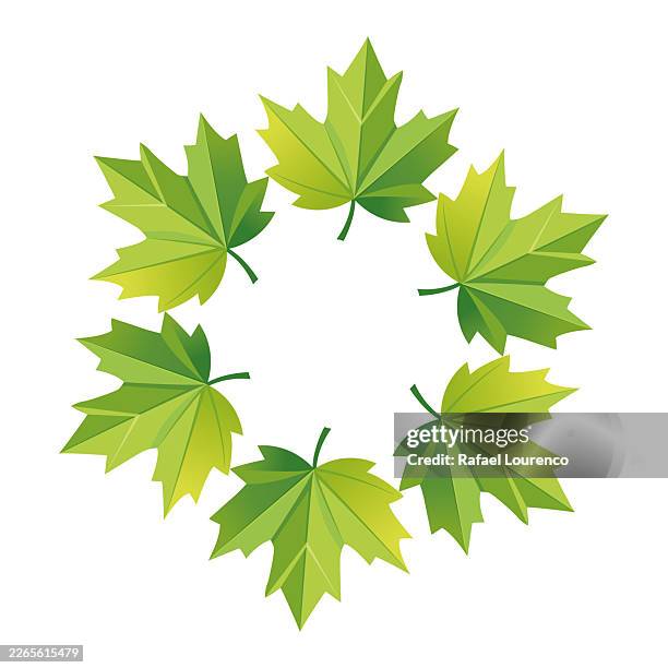 circle frame of isolated green maple leaves - mandala stock illustrations