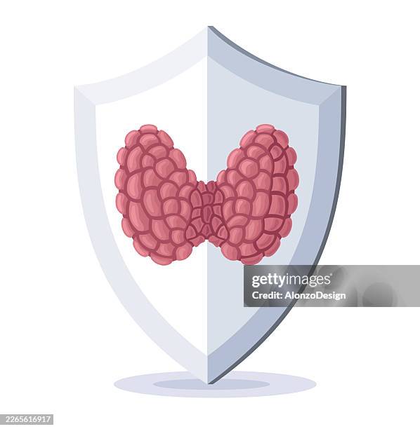 konzept des schilddrüsenschutzes mit schutzschild – endokrine medizinische illustration - schilddrüsenüberfunktion stock-grafiken, -clipart, -cartoons und -symbole