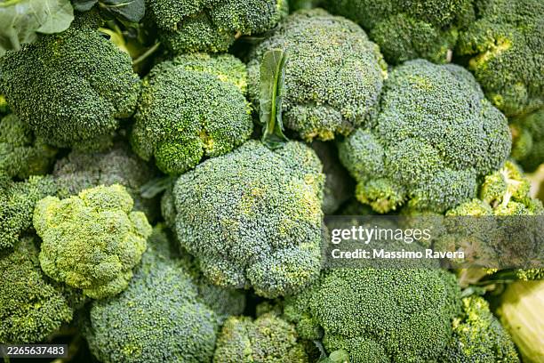 farmers market - organic broccolis - organic farm stock pictures, royalty-free photos & images