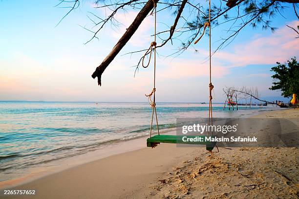 Swing on sea beach on sunset. Swing hangs on tree branch on sandy beach at tropical resort.
