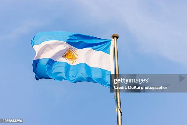 argentina flag - argentinian flag stock pictures, royalty-free photos & images