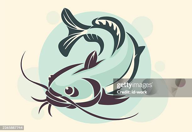 catfish - catfish stock illustrations