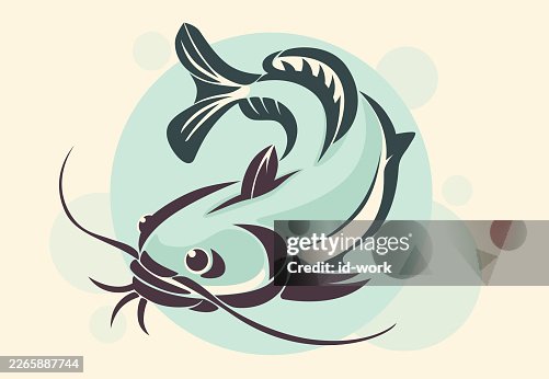 Catfish Catfish