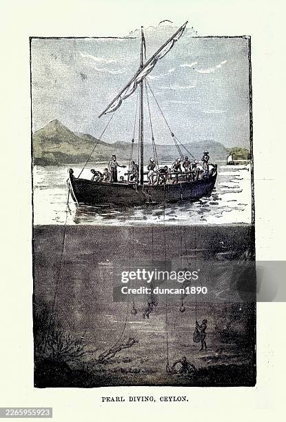 divers freediving fishing for pearls, vintage illustration 19th century - holding breath stock illustrations