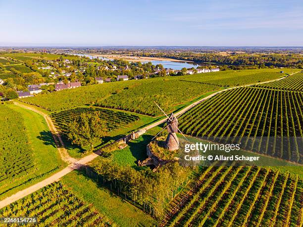 aerial view on windmill surrounded by vineyards in montsoreau france - loire stock pictures, royalty-free photos & images