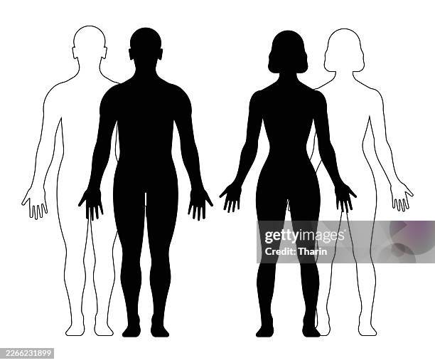 ็human body silhouette concept - mannequin isolated stock illustrations
