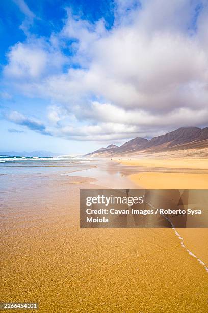 golden sand of cofete beach, fuerteventura - insel fuerteventura stock-fotos und bilder