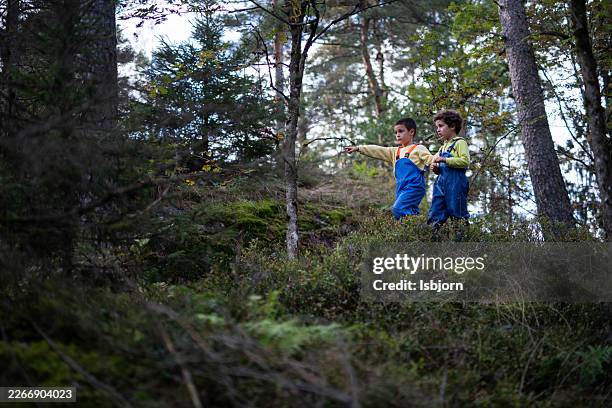 two little boys enjoying their time together outside in nature. - buitensport stockfoto's en -beelden