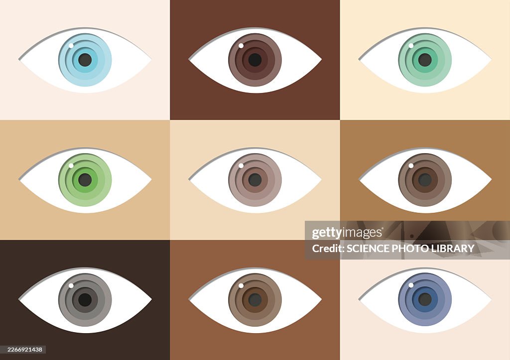 Various eye colours, illustration