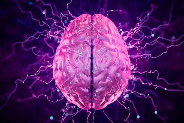 3D illustration of synaptic connections in the brain, with glowing nodes representing plasticity.