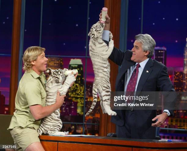 S "Crocodile Hunter" Steve Irwin appears with baby white tigers on "The Tonight Show with Jay Leno" at the NBC studios February 4, 2003 in Burbank,...