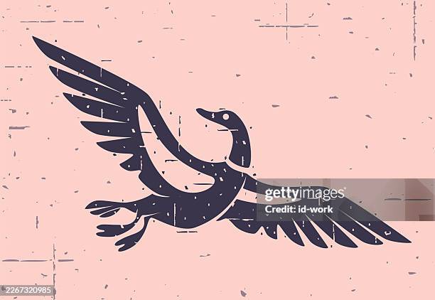 flying mallard silhouette - drake stock illustrations