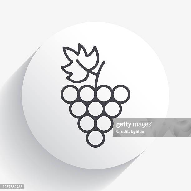 grape. icon on circle button with long shadow - grape leaf stock illustrations
