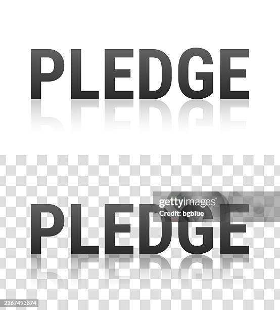 pledge - text with reflection on transparent background - pledge of allegiance stock illustrations