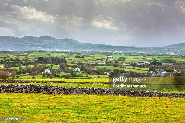 rolling green hills, traditional stone wall, rural irish countryside - irish farm stock pictures, royalty-free photos & images