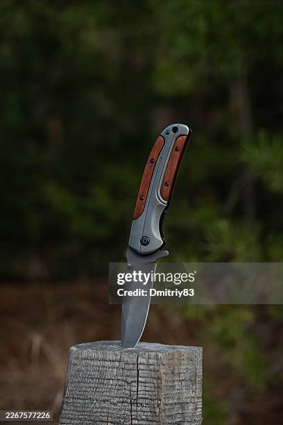 Hunting folding knife on background forest.