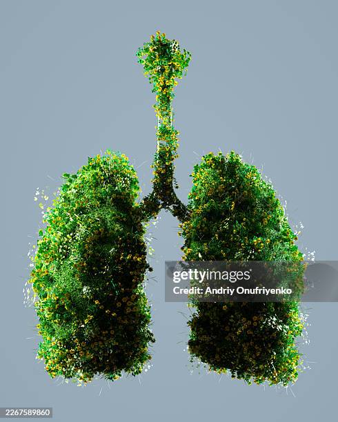 green lungs - menschliche lunge stock-fotos und bilder