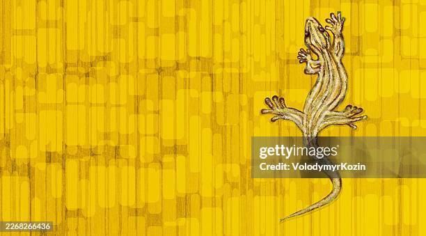 golden lizard with ruby eyes - ruby stock illustrations