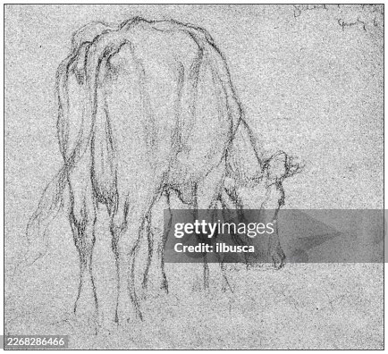 Study, by Bertram Priestman Study, by Bertram Priestman