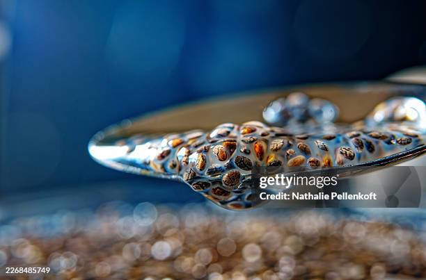 soaked chia seeds on spoon — gel-coated macro blue bokeh - crohns disease stock pictures, royalty-free photos & images