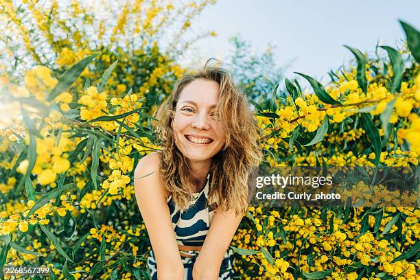 a cheerful woman laughing amidst a sea of blooming yellow mimosa trees under a clear blue sky. - beauty in nature stock pictures, royalty-free photos & images