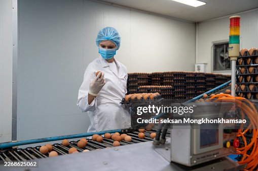 Efficiently Operating a Touch Screen Panel Conveyor Belt Sorting Machine for Chicken Egg Products Efficiently Operating a Touch Screen Panel Conveyor Belt Sorting Machine for Chicken Egg Products