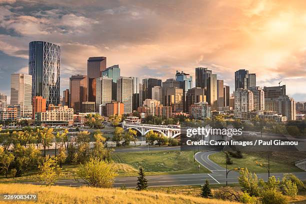 calgary downtown city skyline in alberta canada - calgary stock pictures, royalty-free photos & images