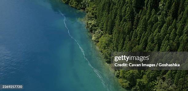 serene lake with forested mountain slopes - yakushima island stock pictures, royalty-free photos & images