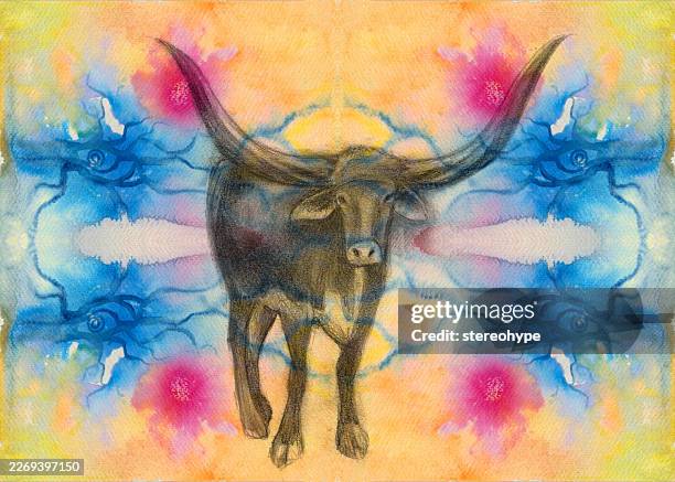 ox sketch - graphite stock illustrations