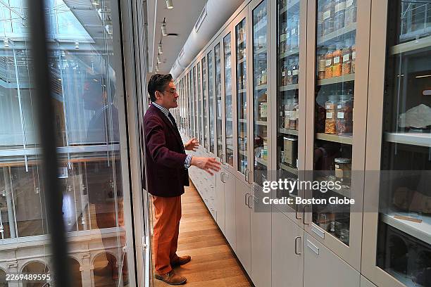 Cambridge, MA Narayan Khandekar, curator of the Forbes Pigment Collection, looks over the collection of pigments at Harvard Art Museums on March 27,...