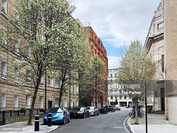 a tree lined city street - holborn stock pictures, royalty-free photos & images