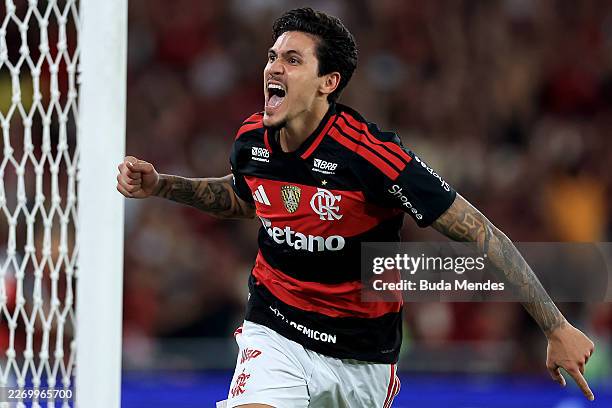 Pedro of Flamengo celebrates after scoring the team's first goal during the match between Flamengo and Santos as part of Brasileirao 2026 at Maracana...