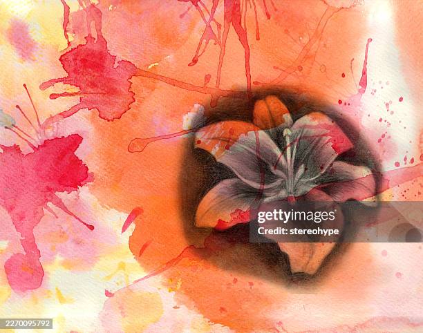 stargazer lily - breaking through clouds stock illustrations